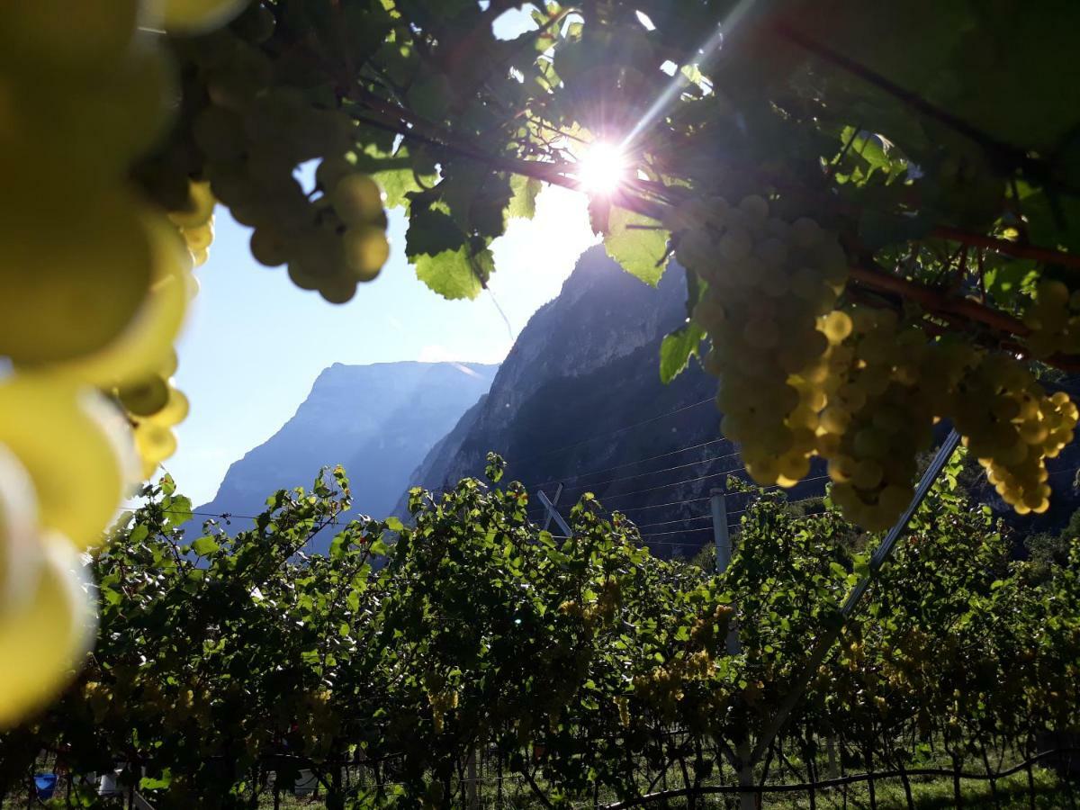 Agriturismo L' Isola Di Arturo Trento Eksteriør billede